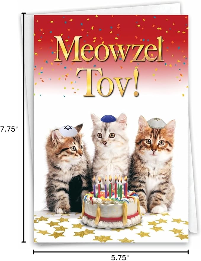 NobleWorks Hysterical Birthday Greeting Card with 5 x 7 Inch Envelope (1 Card) Bday Meowzel C10135BDG