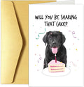 Funny Dog Birthday Card, Birthday Card from Dog, Happy Birthday Card for Dog Owner, Labrador Will You Be Sharing That Cake Bday Card