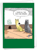 NobleWorks - 1 Humor Birthday Card with Envelope - Funny Cartoons for Birthday Greetings, Celebration Notecard - Hole Foods C2684BDG