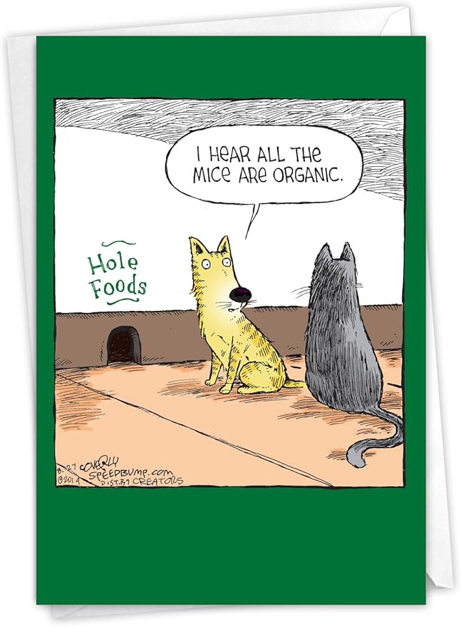 NobleWorks - 1 Humor Birthday Card with Envelope - Funny Cartoons for Birthday Greetings, Celebration Notecard - Hole Foods C2684BDG