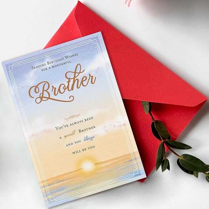 Funny Birthday Card for Brother, Happy Birthday Brother Card, Humorous Sibling Birthday Gifts, Funny & Heartfelt Greeting Card for Bros