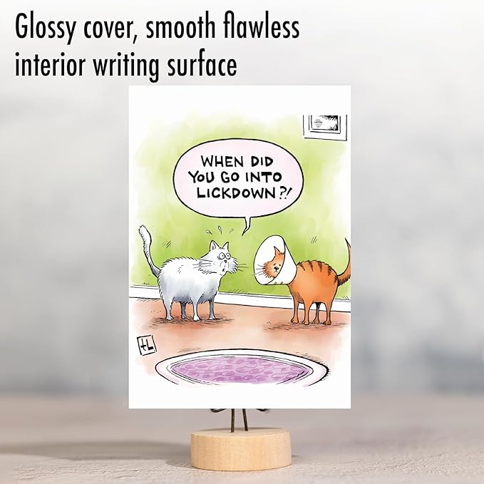 NobleWorks - 1 Awesome Birthday Greeting Card - Cartoon Art, Happy Funny Bday Note - Lickdown C2449BDG