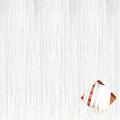 4 Pack 3.3Ft x 6.6Ft White Foil Fringe Curtain Backdrop, Metallic Tinsel Foil Fringe Streamers Curtains Background for Photo Booth, Birthday, Valentine's Day Party Decoration