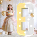 Pooqla 3FT Light Up Marquee Numbers, Cool White and Warm White LED Large Lighted Sign for Party Decoration, Giant Mosaic Numbers for 6th 16th 60th Birthday Decoration, Number 6