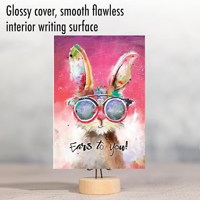 NobleWorks - Funny Birthday Greeting Card with 5 x 7 Inch Envelope (1 Card) Bday Sassy Animals - Rabbit C8850ABDG