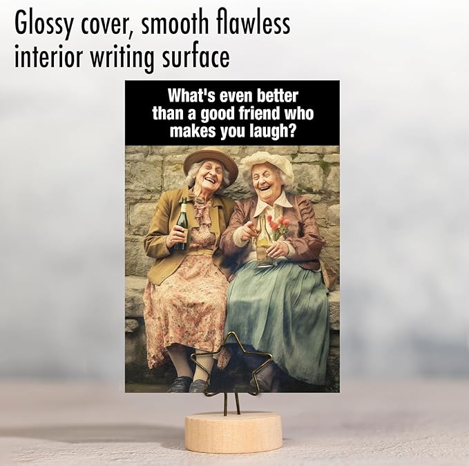 NobleWorks Humorous Birthday Greeting Card with 5 x 7 Inch Envelope (1 Card) Bday Good Friends C10068BDG