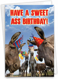 NobleWorks - 1 Happy Birthday Card with Funny Animals - Wildlife and Pet Humor, Fun Birthday Celebration Notecard - Sweet A-s C7191BDG