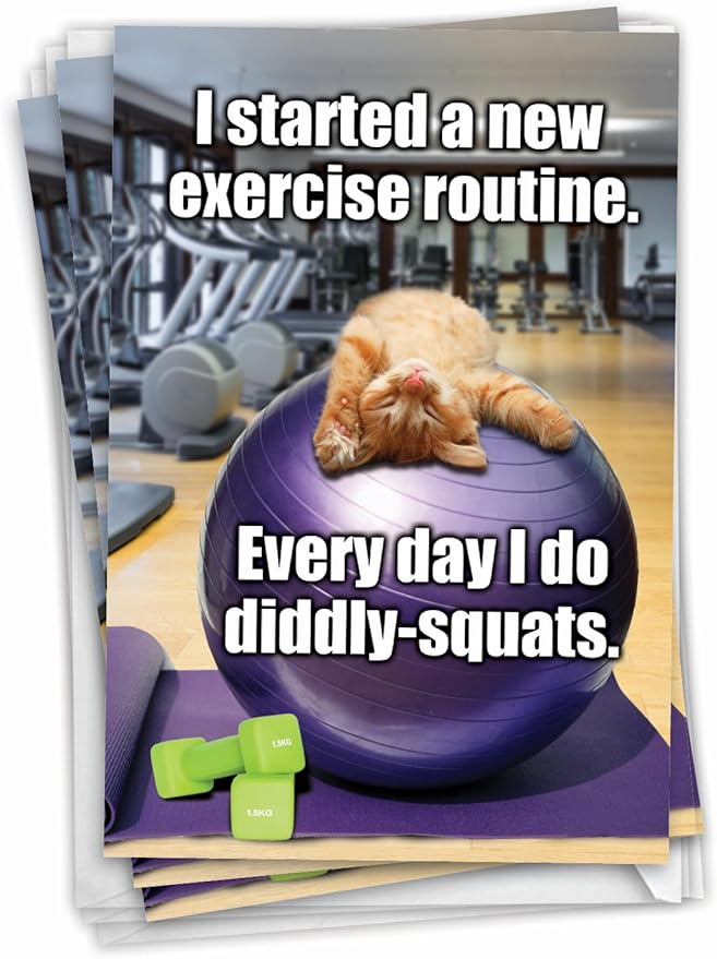 NobleWorks - Pack of 3 Funny Cat Birthday Greeting Cards w/Envelopes, Workout, Gym, Exercise, Animals Lover Humor, Kitten Notecard (1 Designs, 3 Each) - Diddly Squats C3955BDG-C3x1
