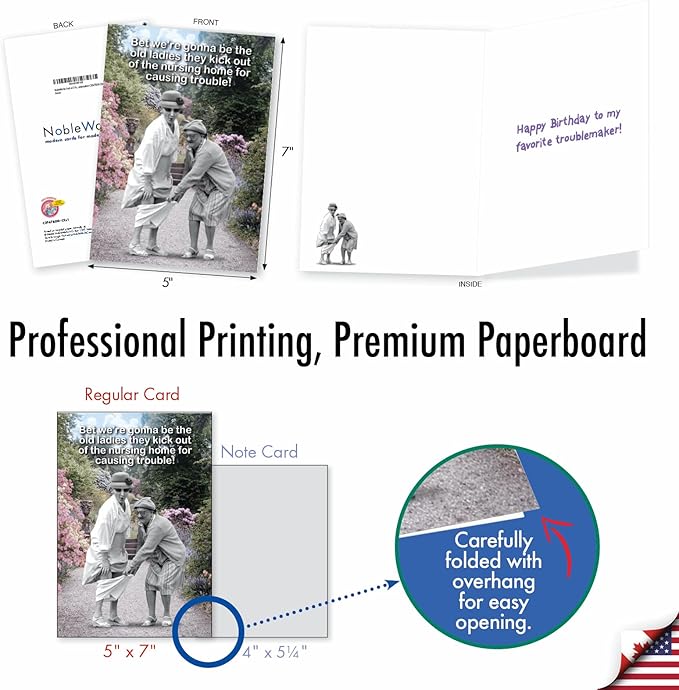 NobleWorks Pack of 3 Funny Birthday Greeting Cards with Envelopes (1 Designs, 3 Each) Old Troublemakers C3567BDG-C3x1
