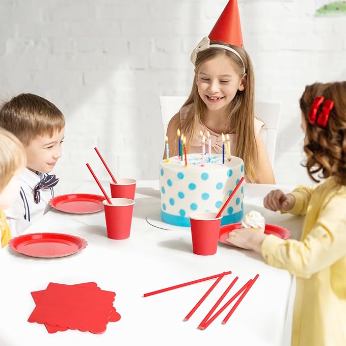 168PCS Party Plates, Scalloped Gingham Paper Plates and Cups and Napkins Sets Party Supplies for Birthday Wedding Bridal Shower Baby Shower Picnic, Serve for 24 Guests (Red Scalloped)