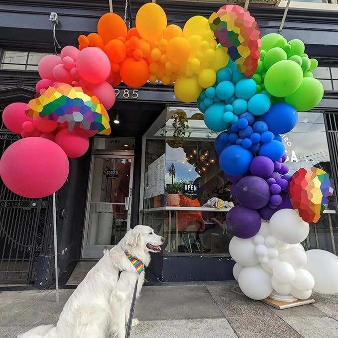 Summer Tropical Balloon Arch Garland Kit, Rainbow Colorful Balloon Arch Multicolor Rainbow Colored Latex Balloons for Birthday Kindergarten Graduation Carnival Fiesta Party Decoration Supplies