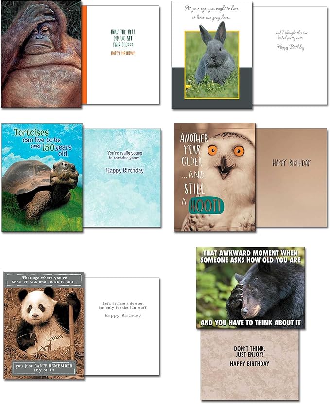 Leanin' Tree Wildly Funny - Made In USA - 20 Assorted Cards with Envelopes All Occasion, Birthday Cards Funny Enough to Make You Laugh, Includes Birthday, Encouragement, Friendship, Thank You and More