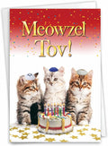 NobleWorks Hysterical Birthday Greeting Card with 5 x 7 Inch Envelope (1 Card) Bday Meowzel C10135BDG