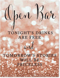 Andaz Press Wedding Party Signs, Glitzy Rose Gold Glitter, 8.5x11-inch, Open Bar Tonight's Drinks are Free and Tomorrow's Stories Will Be Priceless, 1-Pack, Bokeh Colored Party Supplies