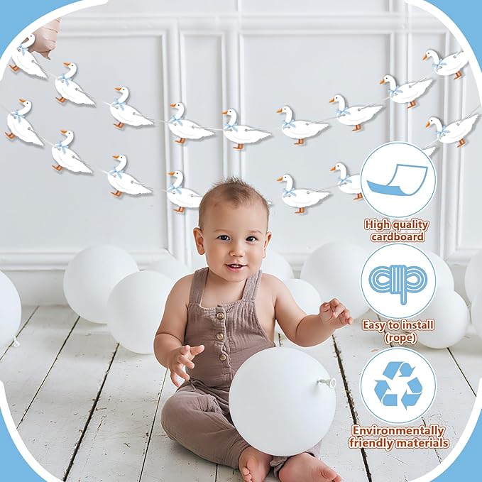 Goose Banner -Silly Goose Baby Shower Birthday Decorations One Silly Goose Blue Gingham Style Birthday Decor Party Decorations Party Supplies Decor for Kids, Boys, Girls, Baby Showers Decor