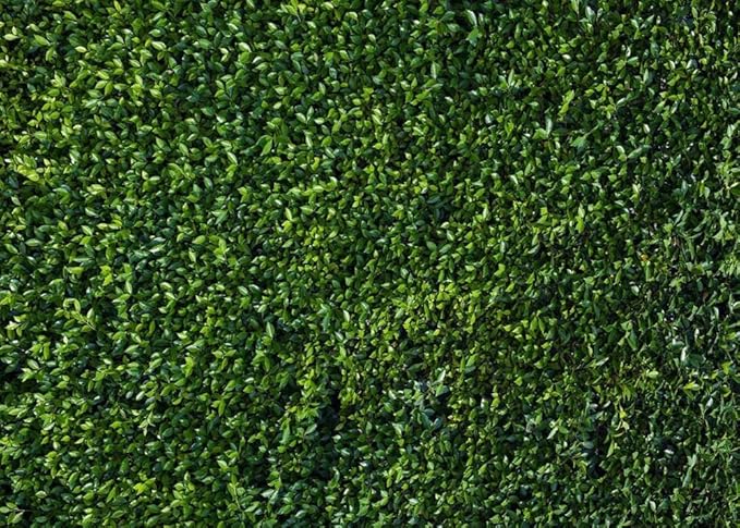 Nature Spring 3D Green Leaves Theme Photo Background Wedding Birthday Party Newborn Baby Shower Photography Backdrops Zoo Decor Shoot Props Bannner (5x3 FT)