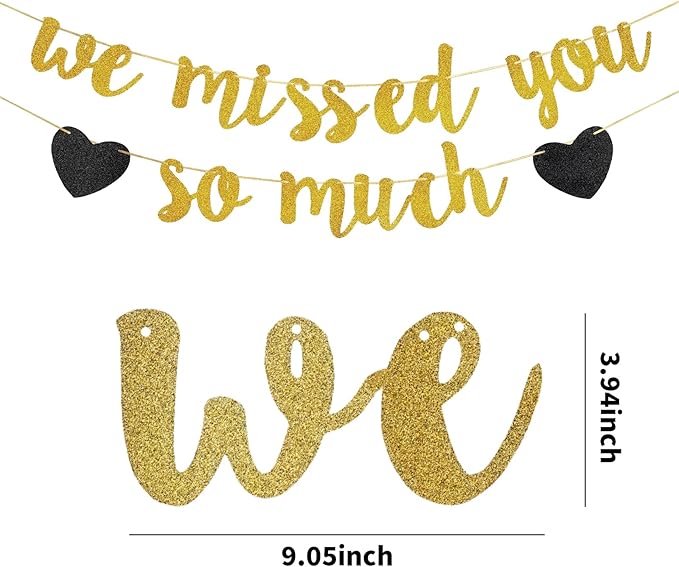 We Missed You So Much Banner, 12Pcs Triangle Flags, 6Pcs Pom Poms Paper Flower Balls, 6Pcs Hanging Swirls Welcome Back Welcome Home Decoration Families Friends Colleague’s Return Celebration Decor Kit