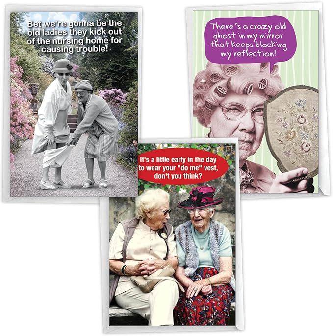 NobleWorks Assortment Pack of 3 Hilarious Birthday Greeting Cards with Envelopes (3 Designs, 1 Each) Young At Heart VC7958BDG-C1x3