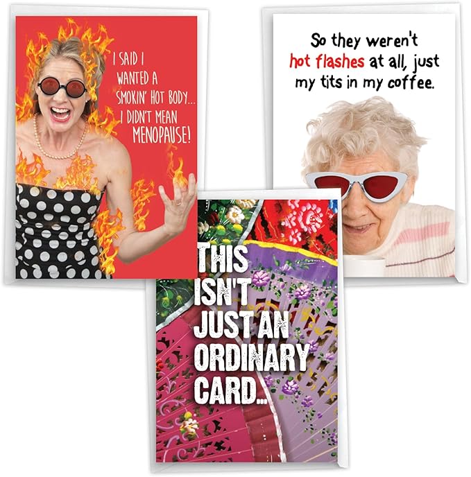 NobleWorks Assortment Pack of 3 Hilarious Birthday Greeting Cards with Envelopes For Women, Her (3 Designs, 1 Each) Hot Flashes VC10013BDG-C1x3