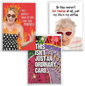 NobleWorks Assortment Pack of 3 Hilarious Birthday Greeting Cards with Envelopes For Women, Her (3 Designs, 1 Each) Hot Flashes VC10013BDG-C1x3