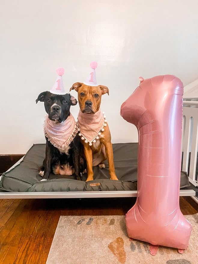 Number Balloons 40 Inch, 1 Balloon for 1st Birthday Girl Boy Baby Shower, One Ballon Party Decorations for 1 10 11 12 13 15 16 18 21 Party Wedding Event Photo Shoot, Pearl Pink 1 Balloon