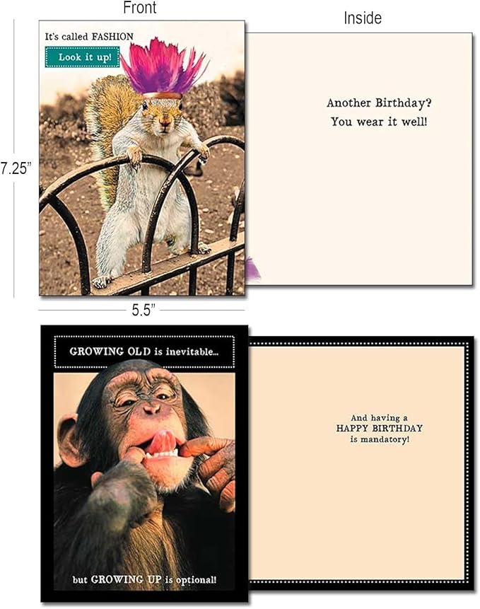 Leanin' Tree Wildly Funny - Made In USA - 20 Assorted Cards with Envelopes All Occasion, Birthday Cards Funny Enough to Make You Laugh, Includes Birthday, Encouragement, Friendship, Thank You and More