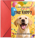 5.3x8 Funny Happy Dog Birthday Card Humorous Cute Pet Animal Humor Bday Notecard with Envelope for Wife Husband Teenage Young Boy Girl Men Women Adult
