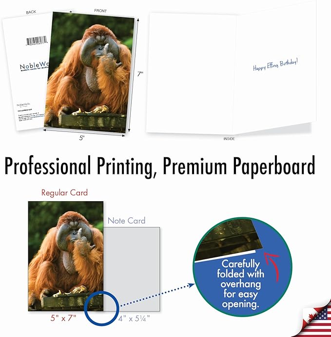 NobleWorks - Birthday Greeting Card with 5 x 7 Inch Envelope (1 Card), Fun Animal Bday Celebration - Flipping Monkey - Orangutan C9516DBDG