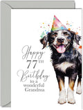 77th Birthday Cards for Grandma - Party Dog - Happy Birthday Card for 77 Year Old Grandma from Grandson Granddaughter, 5x7 Inch Bday Women Woman Her Greeting Cards Gift for Grandma Birthday Gifts