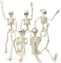 HADWYN 5 Packs Halloween Skeleton Decorations,16" Full Body Posable Joints Skeletons for Halloween Decorations, Indoor and Outdoor Horror Atmosphere Decorations