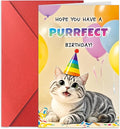 Happy Purrfect Birthday Card Funny Cat Bday Notecard Gift for Him Her Mom Wife Sister Coworkers Friends