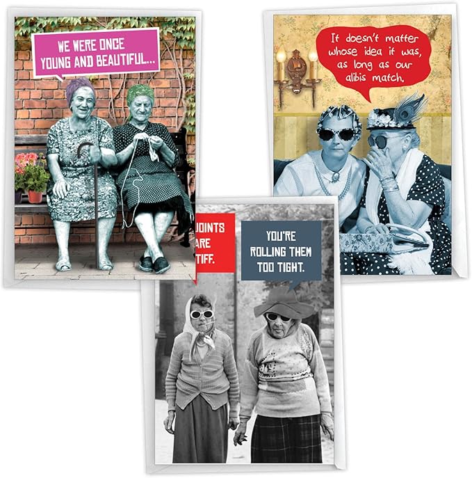 NobleWorks Assorted 3 Pack of Funny Women's Retro Birthday Greeting Cards with 5 x 7 Inch Envelopes (3 Designs, 1 Each) Old Friends VC2803BDG-C1x3