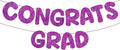 Fulmoon Pre Strung Congrats Grad Banner Glitter Congratulations Banner College Graduation Sign Class of 2026 Grad Party Decorations for High School University Graduation Party Favor(Purple)