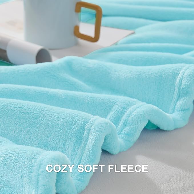 Hansleep Fleece Robin Egg Blue Queen Blanket, Super Soft Flannel Fuzzy Plush Cozy Blanket for All Seasons, Robin Egg Blue, Queen 90x90 Inches