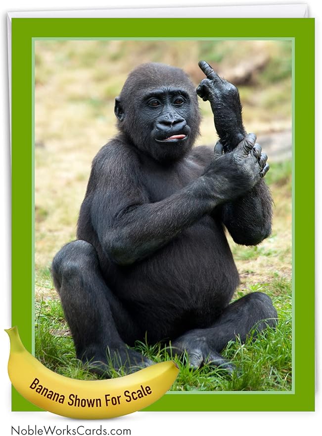 NobleWorks - Hilarious Happy Birthday Card with Envelope (8.5 x 11 Inch) - Funny Animal Greeting Card From All Of Us - Flipping Monkey - Gorilla J9516FBDG-US