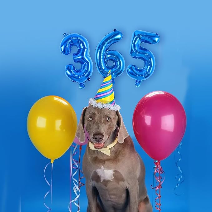 TONIFUL Balloons 16 Inch Blue 0-9 Number Mylar Foil Balloons 10 Pcs Blue Custom Digital Balloons for 2026 New Year Eve Birthday Engagement Graduations Anniversary Baby Shower