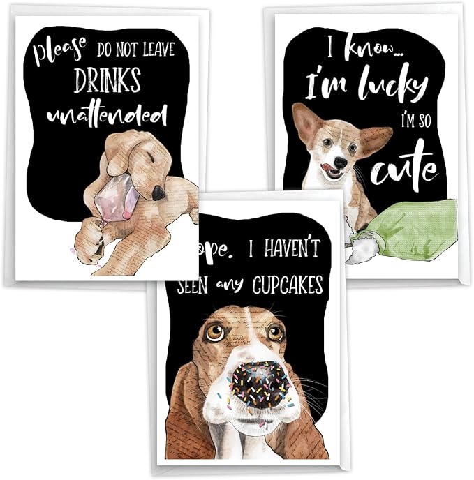 NobleWorks, Assortment Pack of 3 Funny Birthday Greeting Cards with Envelopes (3 Designs, 1 Each) Dog Antics Party VC10796BDG-C1x3