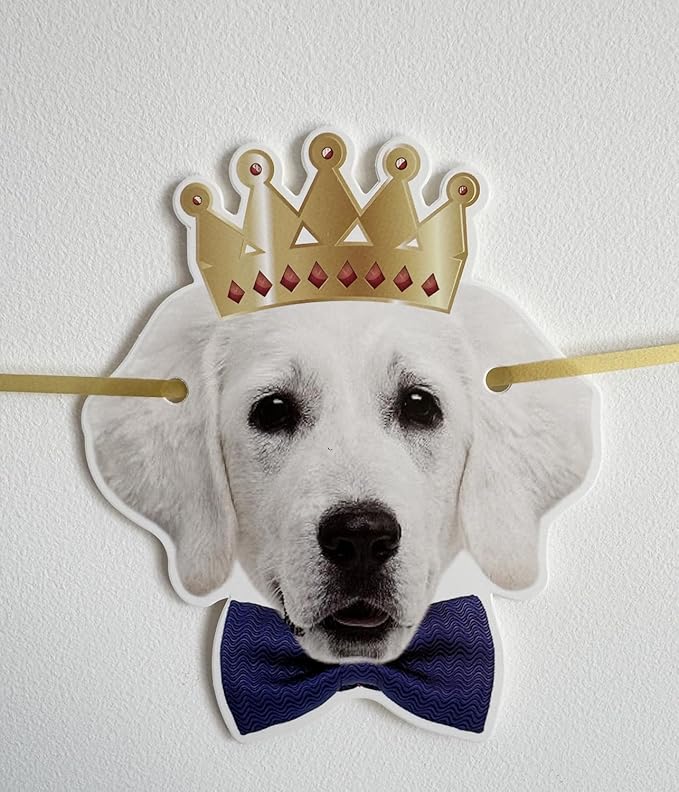 Dog Birthday Garland Funny Happy Birthday Banner Decor Puppy Face Bday Party Bunting Decorations Gold Sign