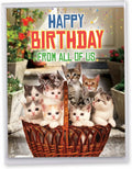 NobleWorks - Hilarious Happy Birthday Card with Envelope (8.5 x 11 Inch) - Funny Animal Greeting Card From All Of Us - From All Us Cats Birthday J5980BDG-US