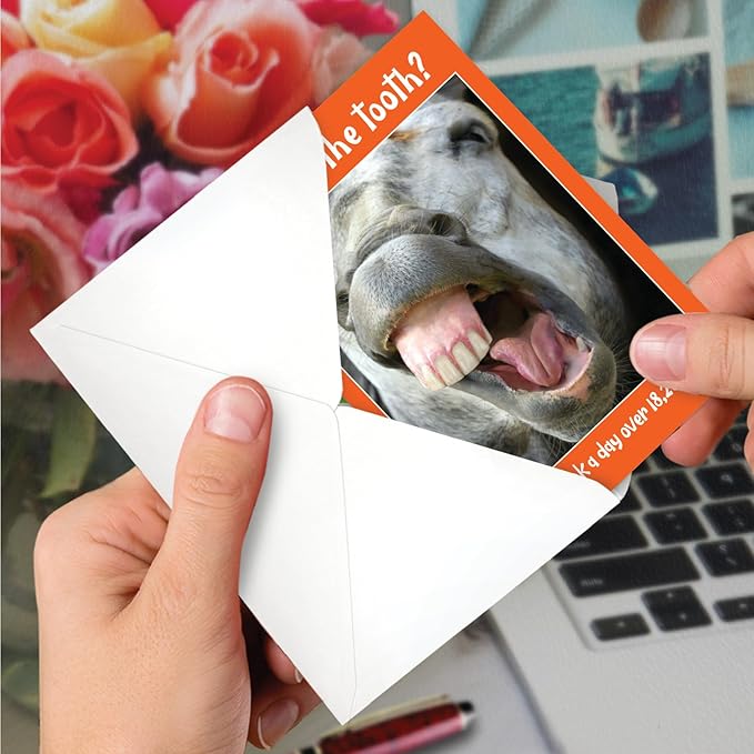 NobleWorks Funny 50th Birthday Milestone Greeting Card with 5 x 7 Inch Envelope (1 Card) Horse Teeth - 50 C10675MBG