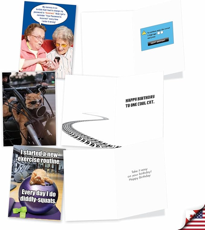 NobleWorks 20 Assorted Box Set Funny Birthday Notecards w/Envelopes for Men, Women (2x10 Designs) Naughty Humor A Very Funny Birthday AC5979BDG-B2x10