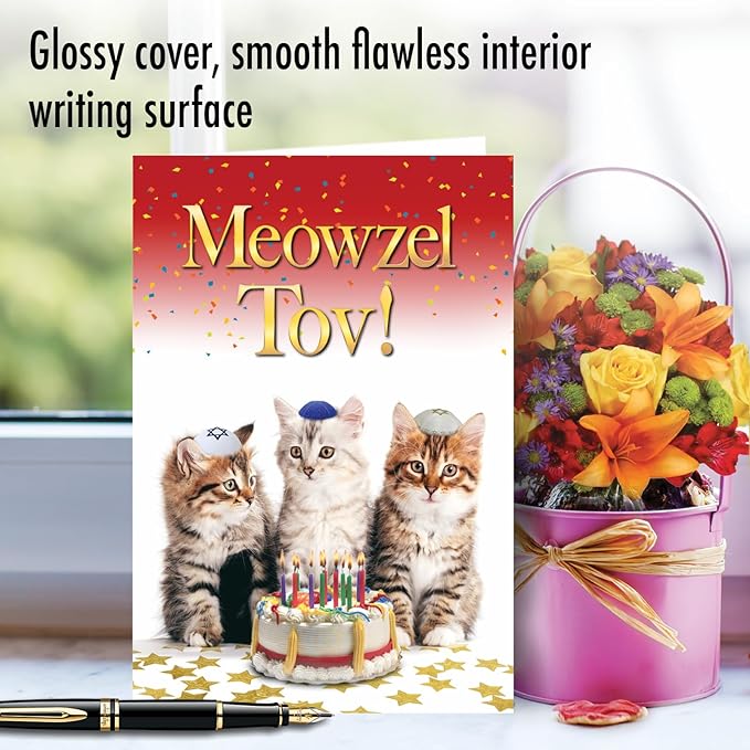 NobleWorks Hysterical Birthday Greeting Card with 5 x 7 Inch Envelope (1 Card) Bday Meowzel C10135BDG