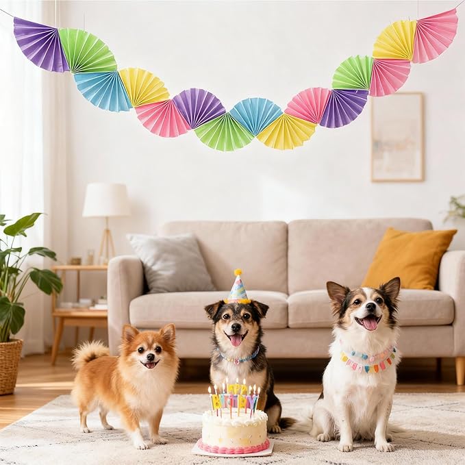Banner Garland Fan-Shaped, Macaron Colors Wall Decor Party Decorations for Birthday Wedding College Nurse Graduation Holiday New Year, Festive Supplies