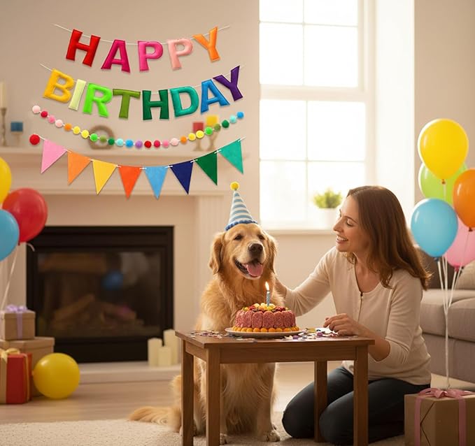 3D Happy Birthday Banner Set – Pre-Strung Reusable Rainbow Happy Birthday Decorations with Felt Ball Garland, Triangle Flag Bunting & Colorful Circle Hanging Banner for Wall Window Garden Party Supply