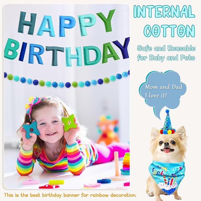 4PCS Pre-Strung Happy Birthday Banner - Felt Happy Birthday Garland, Ball Garland, Felt Pennant Flag, Blue Thread Tassel Reuasble Party Decorations for Boys Men Kids
