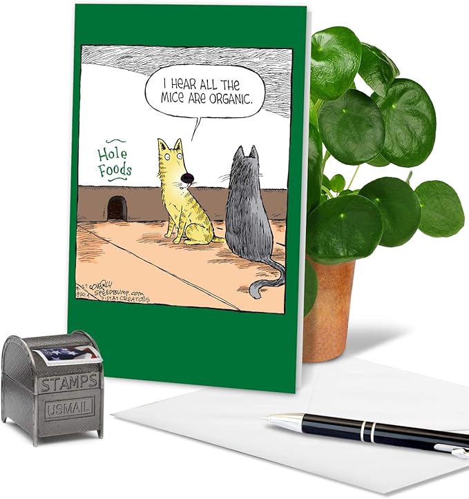NobleWorks - 1 Humor Birthday Card with Envelope - Funny Cartoons for Birthday Greetings, Celebration Notecard - Hole Foods C2684BDG