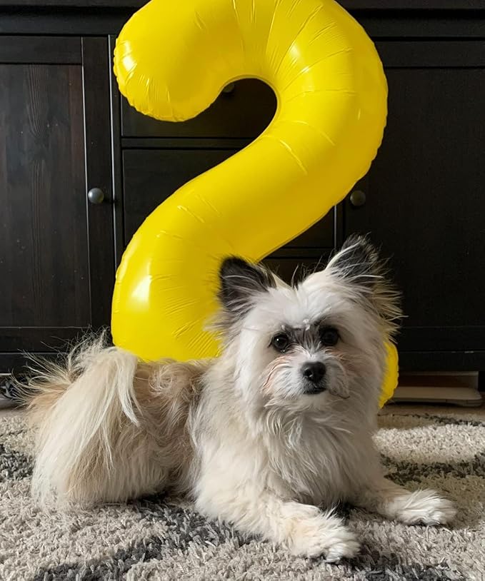 4 Birthday Balloons, 40 Inch 4 Balloons for Birthday Party Decoration, Yellow Number 4 Ballon for 4, 14, 24, 40 Celebration, Halloween, Christmas, Anniversary Decor