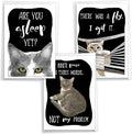 NobleWorks, Assortment Pack of 3 Funny Birthday Greeting Cards with Envelopes (3 Designs, 1 Each) Cat Antics Celebration VC10793BDG-C1x3