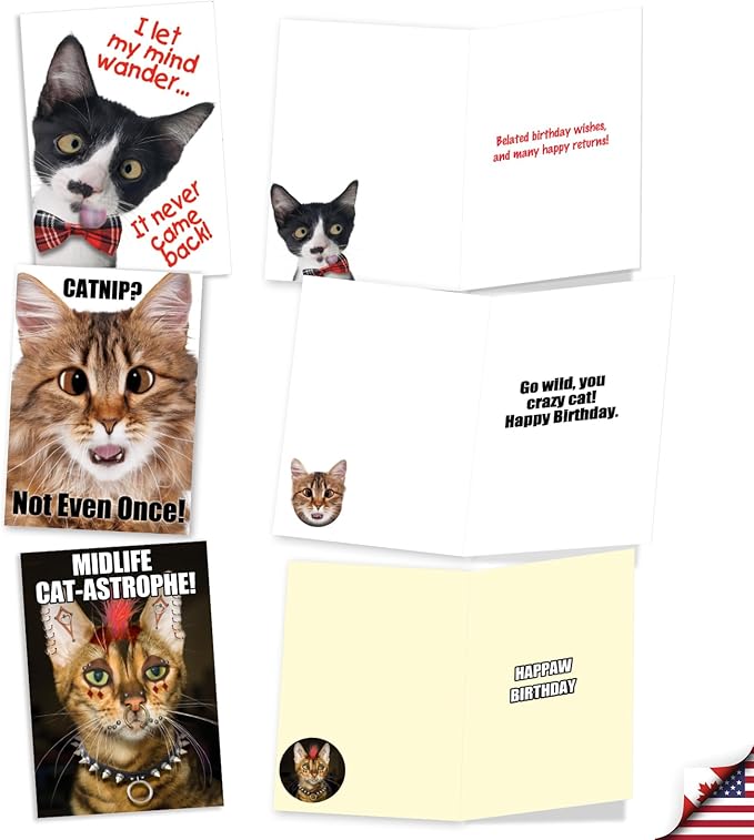 NobleWorks 20 Assorted Box Set Funny Birthday Greeting Cards w/5 x 7 Inch Envelopes (10 Designs, 2 Each) Bday PetiGreet Cats AC4886BDG-B2x10