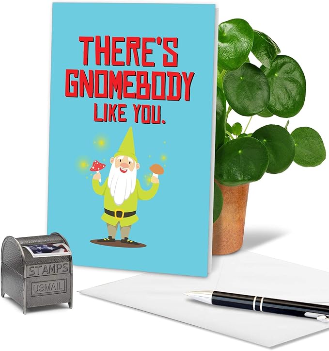 The Best Card Company Funny Birthday Greeting Card w/ 5 x 7 Envelope for Men and Women (1 Card) Friendly Garden Gnomes Gnomebody C6441EBDG
